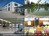 Ц��̫�O�B(y��ng)���@�����d���п��{(di��o)�����N�������ġ�����̫�Oȭ���٤��̫�O��(n��i)�����o�ĵ�